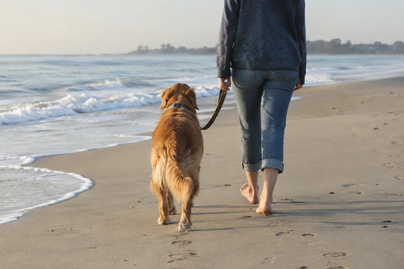 Un chien marche près de son propriétaire sur une plage calme.